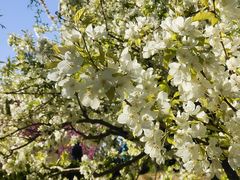 -元大都城垣遗址公园