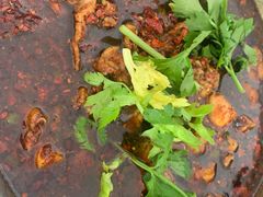 -温江公平红烧兔(总店)