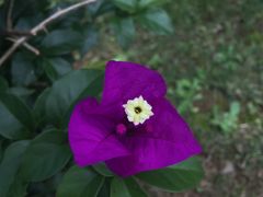 -云南艺术学院(呈贡校区)