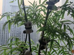 -金紫薇酒店(成都春熙路步行街店)