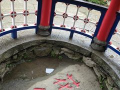 -庐山风景区花径公园