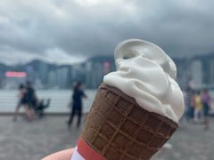 -富豪雪糕车流动点(尖沙咀店)