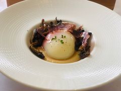 低温慢煮日本有机温泉蛋-蝶舍·MAISON PAPILLON