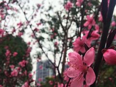 -重庆彩云湖湿地公园