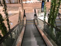 -乐天免税店(明洞店)
