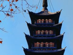 -上海方塔园