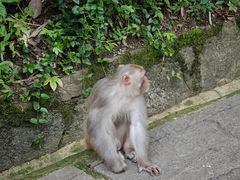-黔灵山公园