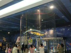 -飞行家太空体验馆(祥云小镇店)