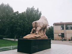-中国政法大学(昌平校区)