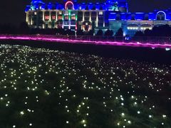 -广州花之恋城堡酒店