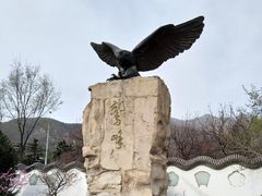 景点-北京鹫峰国家森林公园