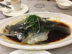 清蒸花斑鱼-岭南海晏楼(东晓南店)