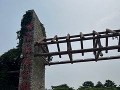 -塘沽森林公园