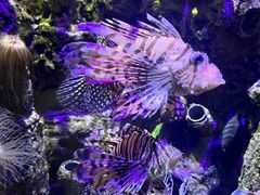 -太平洋海底世界