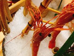 -鲔屋寿喜烧