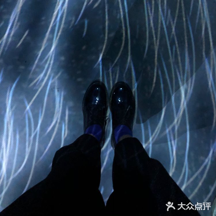 逛展|teamLab无界x 胡沈员现代舞专场