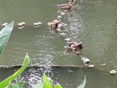 -郭守敬纪念馆