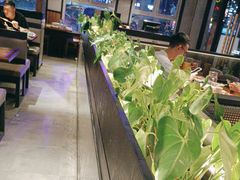 -管氏翅吧(台湾街店)