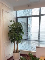 -武汉五洲整形外科医院