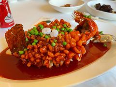 松鼠桂鱼-玫瑰厅上海菜(兴国路店)