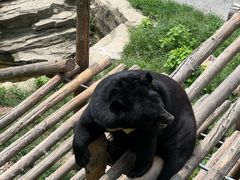 -大连森林动物园