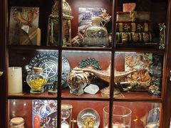 -雪灵魔法世界SHELLY’S TAROT(大良桂畔里店)