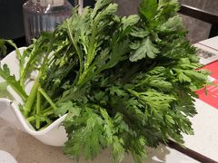 茼蒿-重庆刘一手火锅(三峡广场直营店)