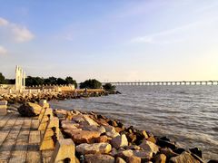 -宝安西湾红树林湿地公园