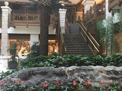 -太湖饭店玉兰厅(自助餐厅)