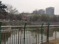 -黄村公园