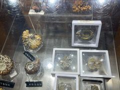 -Behring World of Animals(上海自然博物馆店)