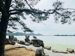 -东湖落雁景区