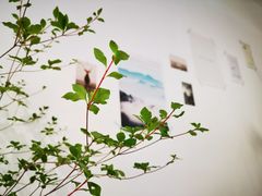 -隹木咖啡馆(宝龙广场店)