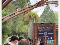 -怀托摩萤火虫洞