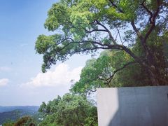 -城外有星光桥舍(南山店)