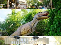 -海合安武汉极地海洋公园