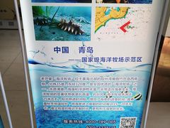 -老尹家海参·海参伴面(阿里山路店)