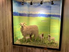 -清真·益鑫羊肉手抓馆(花园北街店)