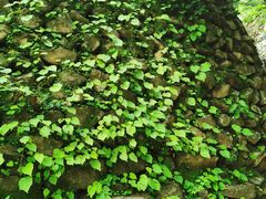 -北京上方山国家森林公园