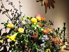-IFIF 如果花園(宽厚里店)