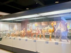 -西安大唐西市博物馆