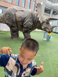 -恐龙探索乐园(磁器口店)