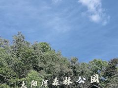 -普洱太阳河森林公园