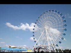 -秦皇岛乐岛海洋王国