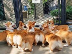 -西南政法大学-学生1食堂