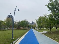 -金沙湖公园