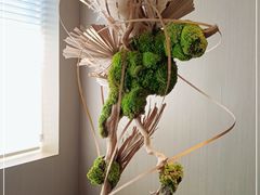 -宴武夷·匠心闽味(印象大红袍店)