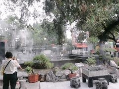 -蘇河湾·新鲁菜·泰山宴(泰山店)