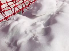 -北京莲花山滑雪场
