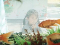 -上海都市菜园